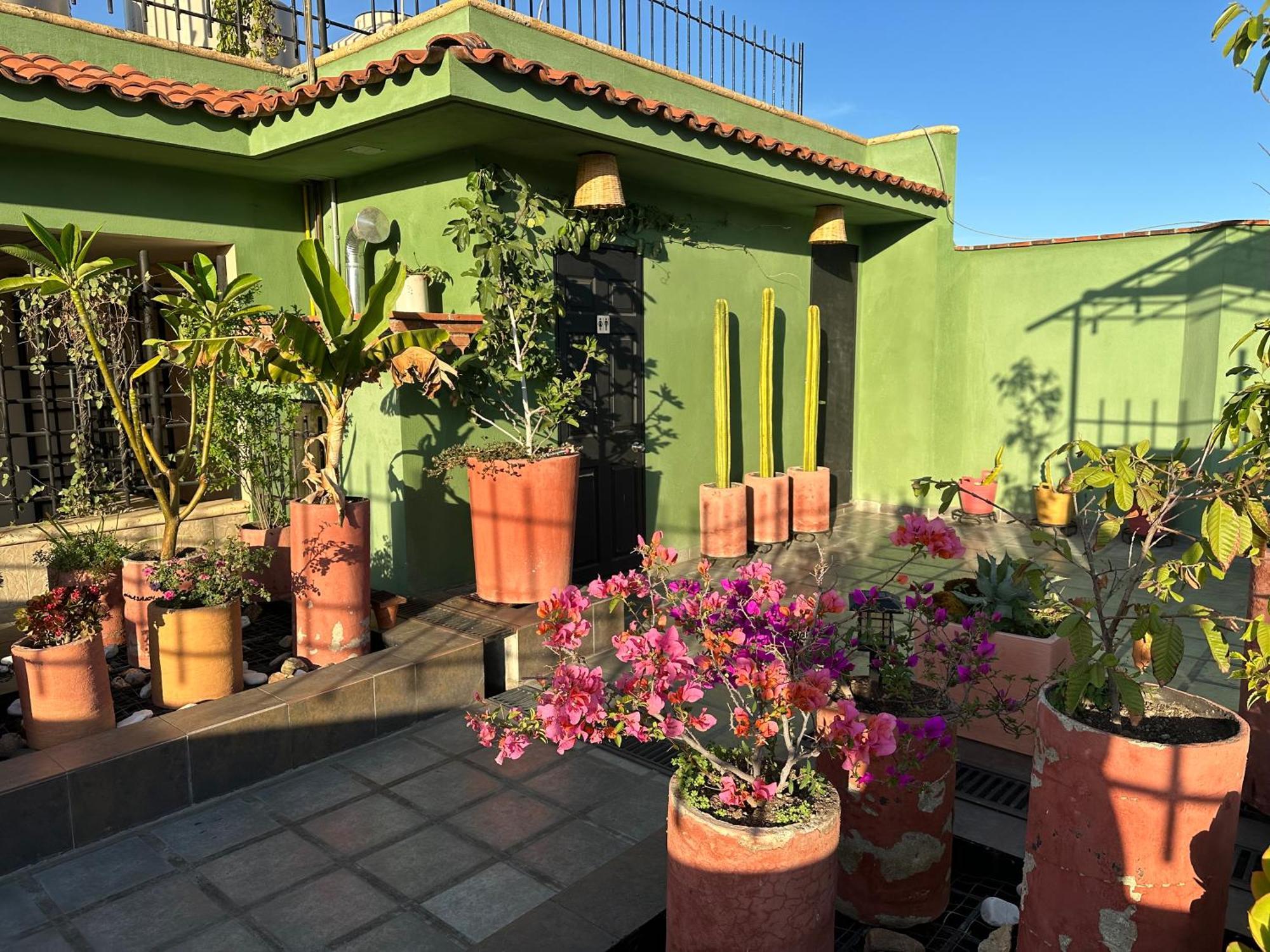 Hostal Nordes Oaxaca Luaran gambar